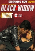 Black Widow (2024) ShowHit Short Film Download