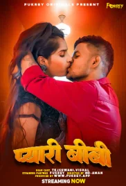 Pyari Biwi 2024 Fukrey Short Film Download (2024)