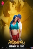 Pehredaar (2023) PrimePlay S03E01T03 Web Series Watch Online