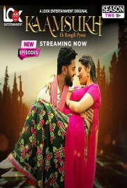 Kaam Sukh 2025 LookEnt S02E01T04 Web Series Download (2025)