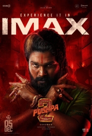 Pushpa 2 The Rule 2024 Hindi Dubbed Movie HDRip Download (2024)