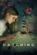 Hatching (2022) Hindi Dubbed Movie HDRip Download