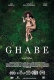 Ghabe (2019) Hollywood Movie HDRip Download